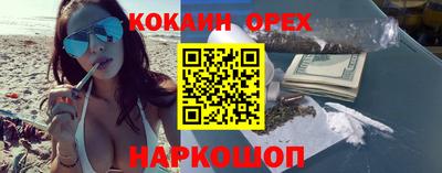 герыч Кингисепп