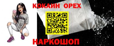 герыч Кингисепп