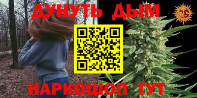 эйфоретик Кимры