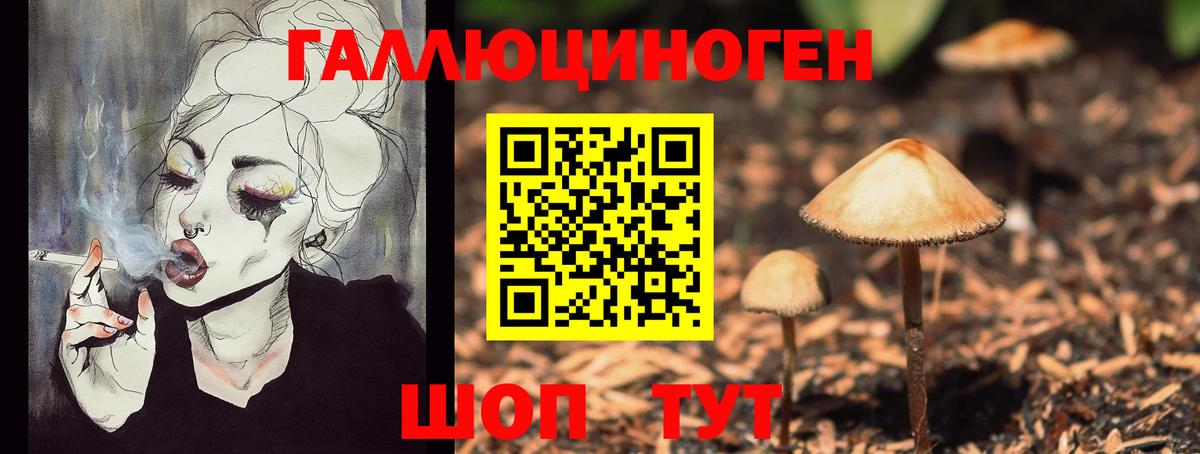 Галлюциногенные грибы мухоморы  Вход с VPN  Кимовск 